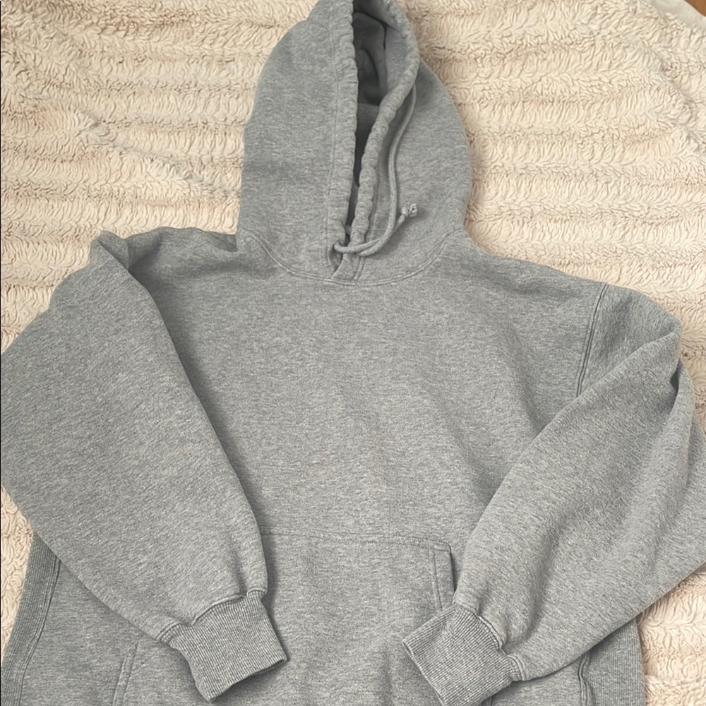Aritzia TNA Hoodie
